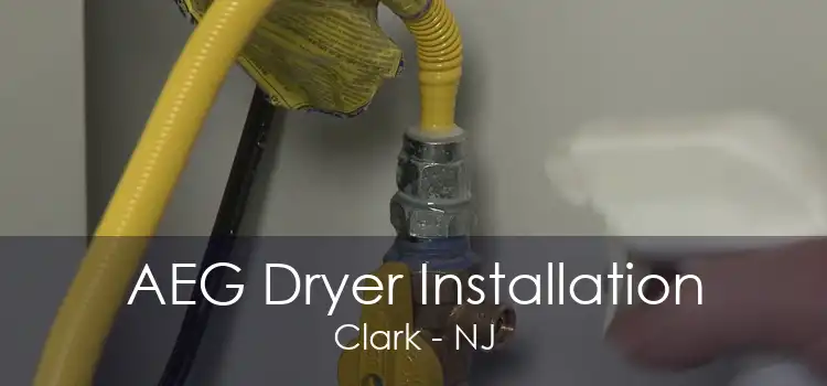 AEG Dryer Installation Clark - NJ
