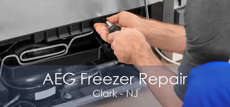 AEG Freezer Repair Clark - NJ
