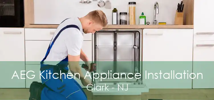 AEG Kitchen Appliance Installation Clark - NJ