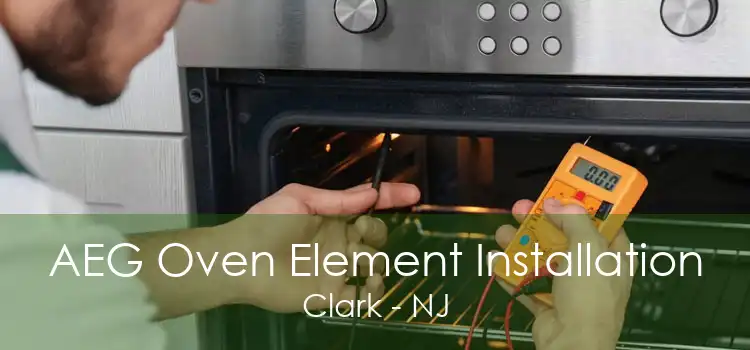 AEG Oven Element Installation Clark - NJ