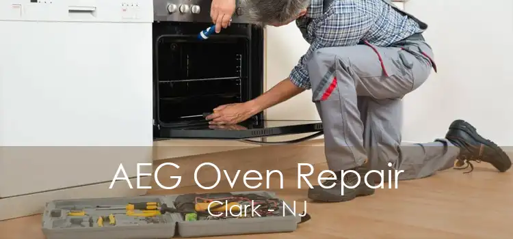 AEG Oven Repair Clark - NJ
