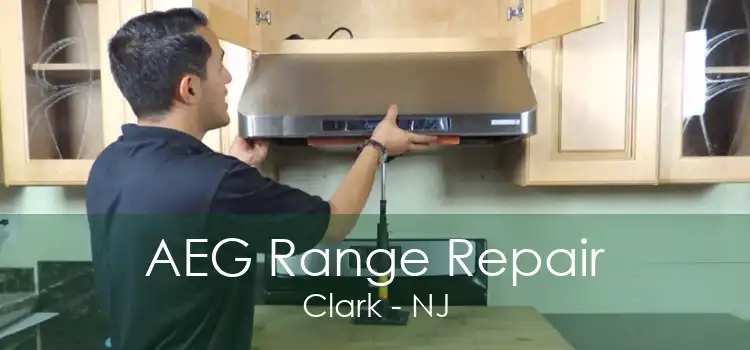 AEG Range Repair Clark - NJ