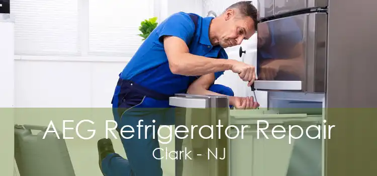 AEG Refrigerator Repair Clark - NJ