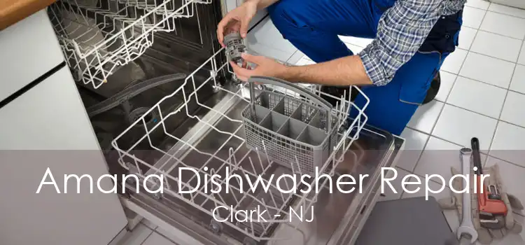 Amana Dishwasher Repair Clark - NJ