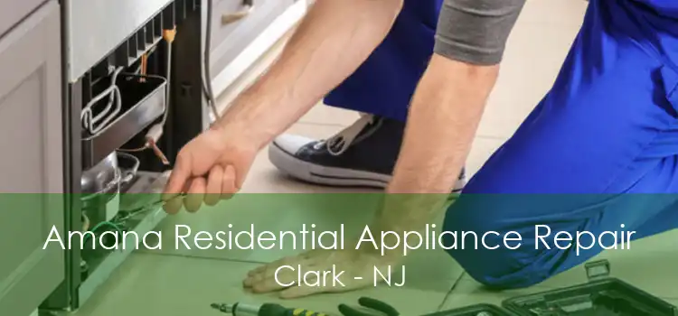 Amana Residential Appliance Repair Clark - NJ