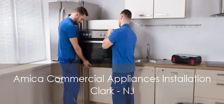 Amica Commercial Appliances Installation Clark - NJ