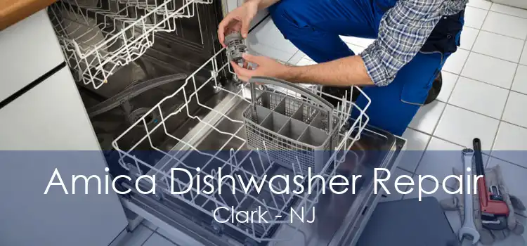 Amica Dishwasher Repair Clark - NJ