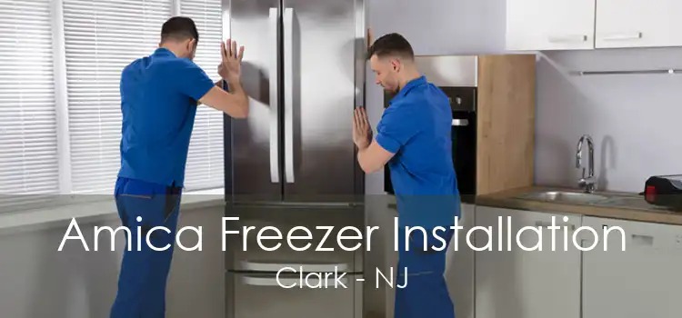 Amica Freezer Installation Clark - NJ