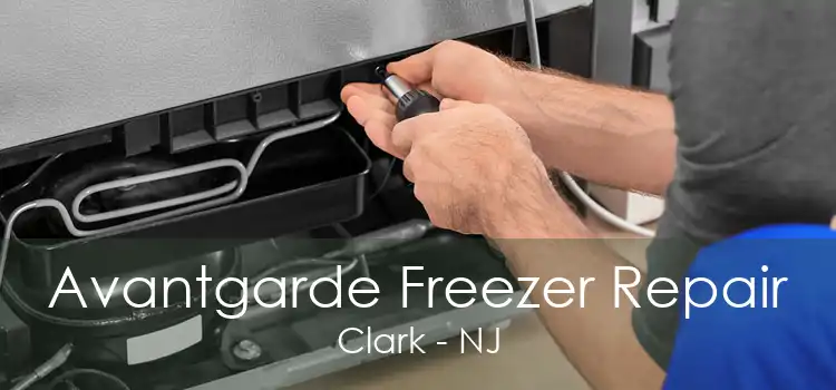 Avantgarde Freezer Repair Clark - NJ