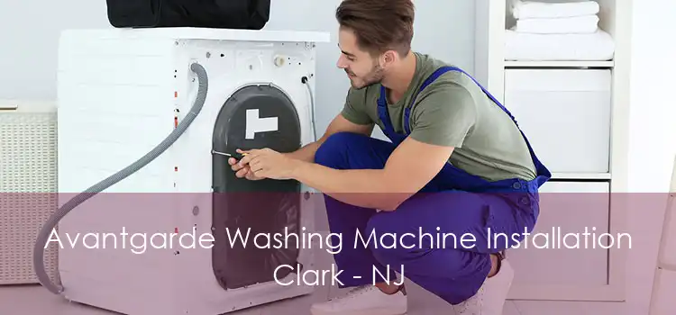 Avantgarde Washing Machine Installation Clark - NJ