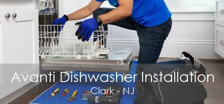 Avanti Dishwasher Installation Clark - NJ