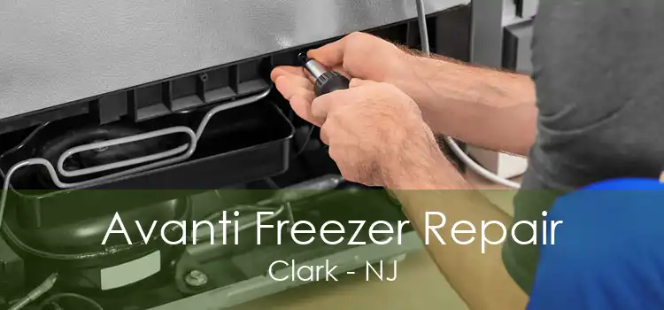 Avanti Freezer Repair Clark - NJ