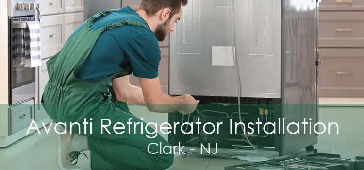 Avanti Refrigerator Installation Clark - NJ
