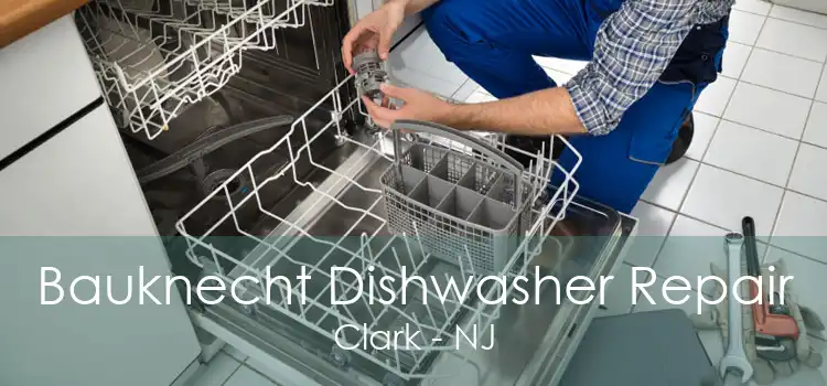 Bauknecht Dishwasher Repair Clark - NJ