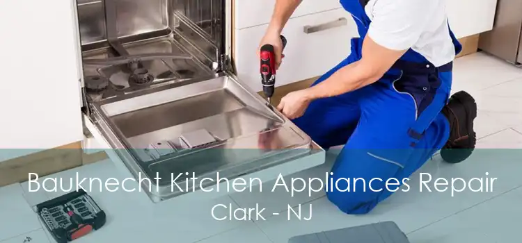 Bauknecht Kitchen Appliances Repair Clark - NJ