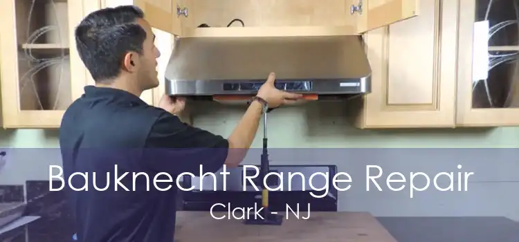 Bauknecht Range Repair Clark - NJ