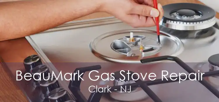 BeauMark Gas Stove Repair Clark - NJ