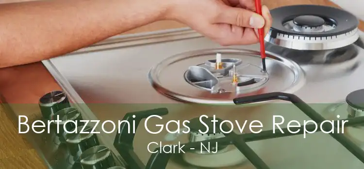 Bertazzoni Gas Stove Repair Clark - NJ