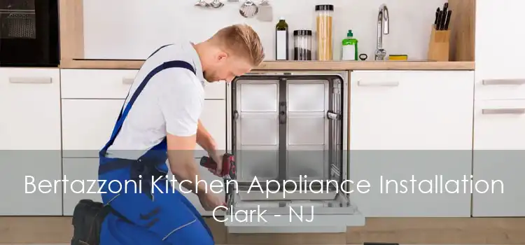 Bertazzoni Kitchen Appliance Installation Clark - NJ