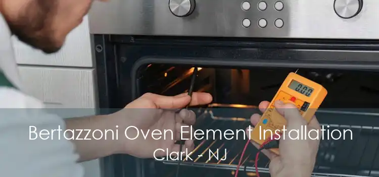 Bertazzoni Oven Element Installation Clark - NJ