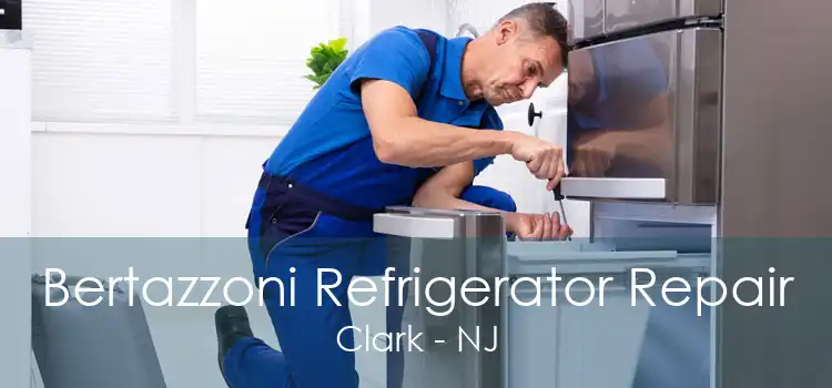 Bertazzoni Refrigerator Repair Clark - NJ