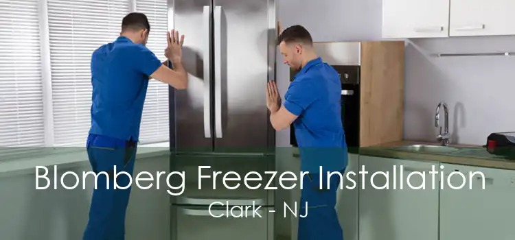 Blomberg Freezer Installation Clark - NJ