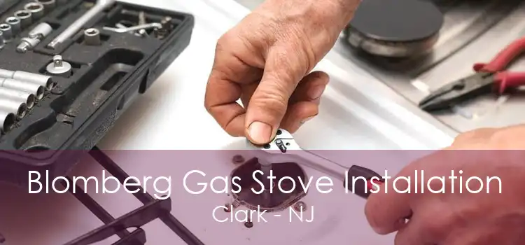 Blomberg Gas Stove Installation Clark - NJ