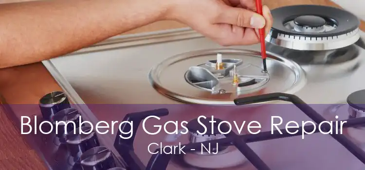 Blomberg Gas Stove Repair Clark - NJ