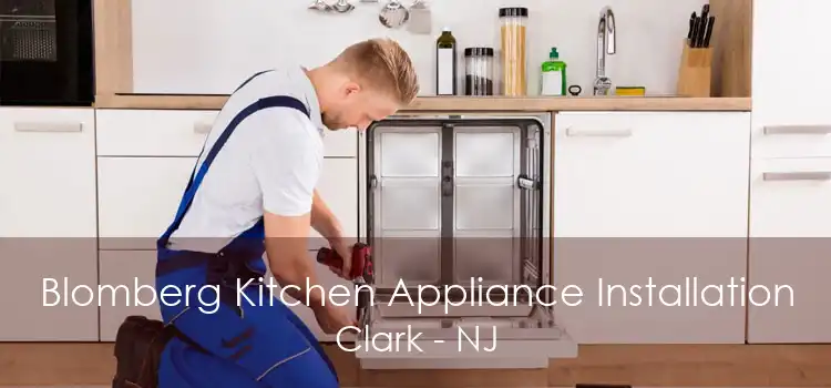Blomberg Kitchen Appliance Installation Clark - NJ