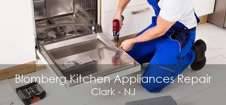 Blomberg Kitchen Appliances Repair Clark - NJ