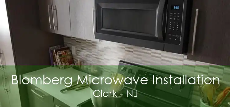 Blomberg Microwave Installation Clark - NJ