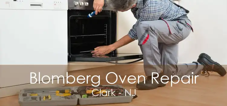 Blomberg Oven Repair Clark - NJ