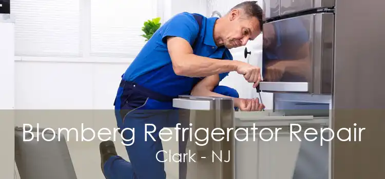 Blomberg Refrigerator Repair Clark - NJ