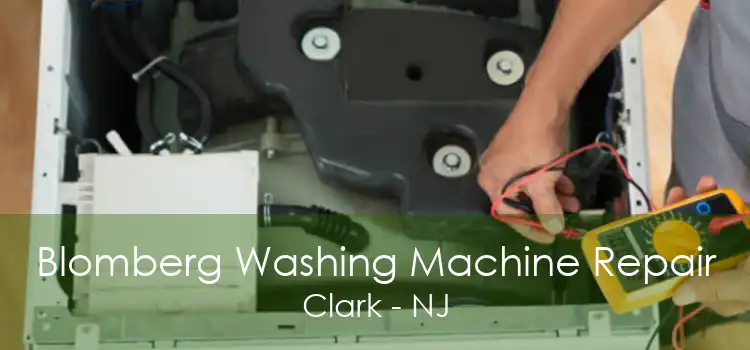 Blomberg Washing Machine Repair Clark - NJ