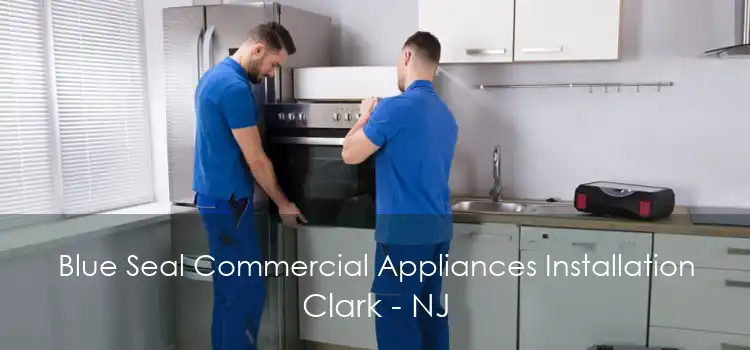 Blue Seal Commercial Appliances Installation Clark - NJ