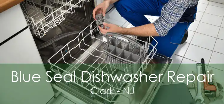 Blue Seal Dishwasher Repair Clark - NJ