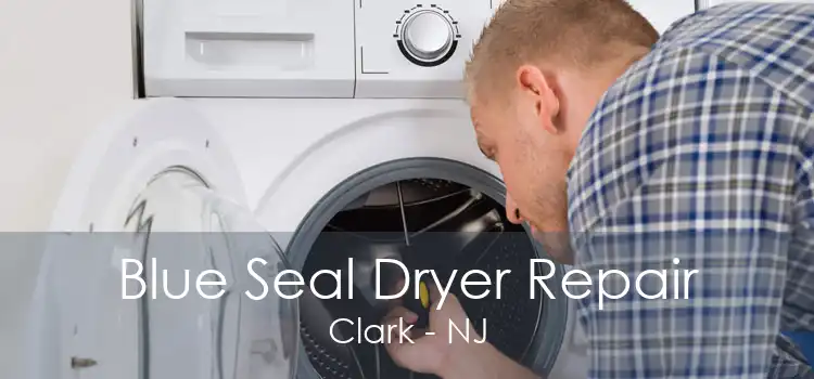 Blue Seal Dryer Repair Clark - NJ