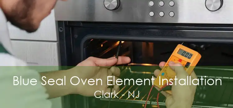 Blue Seal Oven Element Installation Clark - NJ