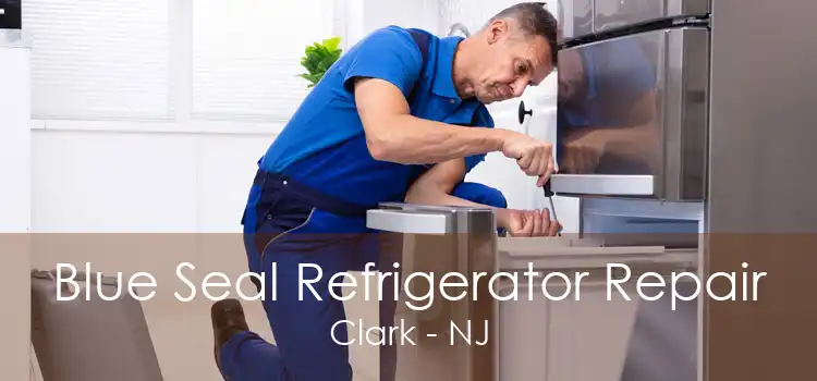 Blue Seal Refrigerator Repair Clark - NJ