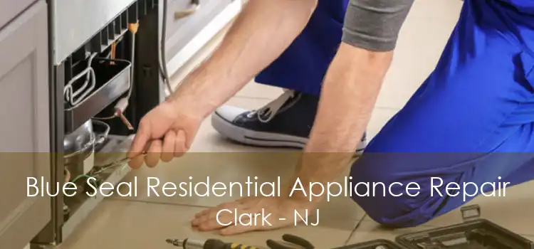 Blue Seal Residential Appliance Repair Clark - NJ