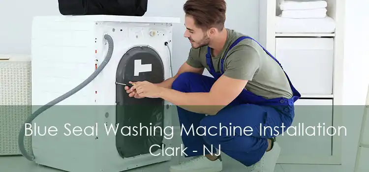 Blue Seal Washing Machine Installation Clark - NJ