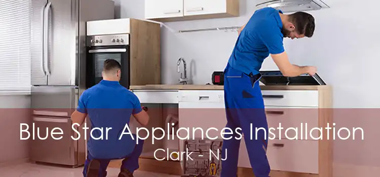 Blue Star Appliances Installation Clark - NJ