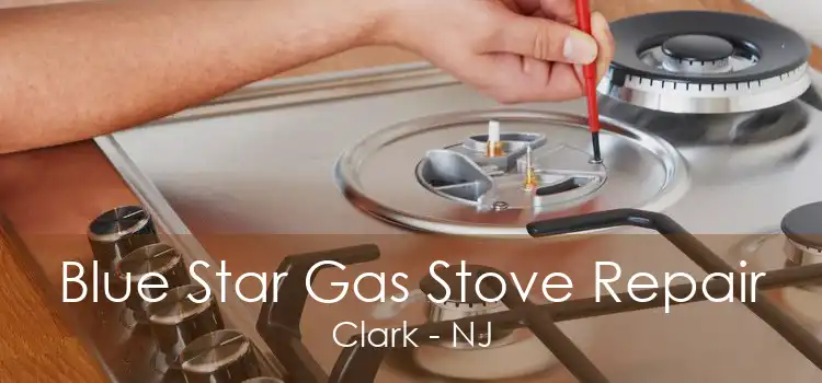Blue Star Gas Stove Repair Clark - NJ
