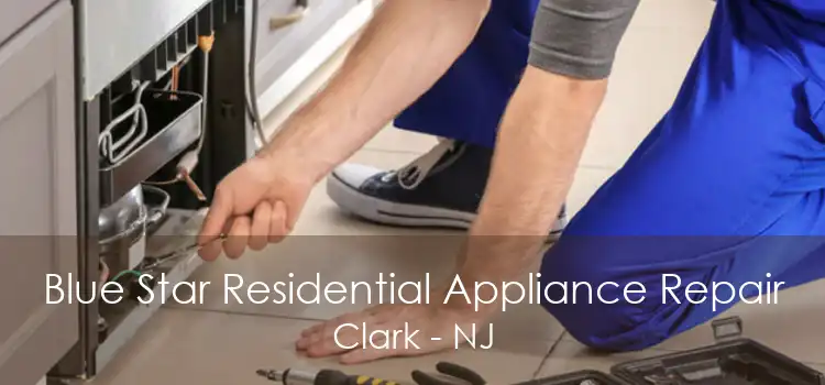 Blue Star Residential Appliance Repair Clark - NJ