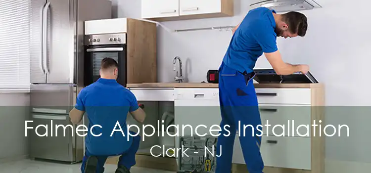 Falmec Appliances Installation Clark - NJ