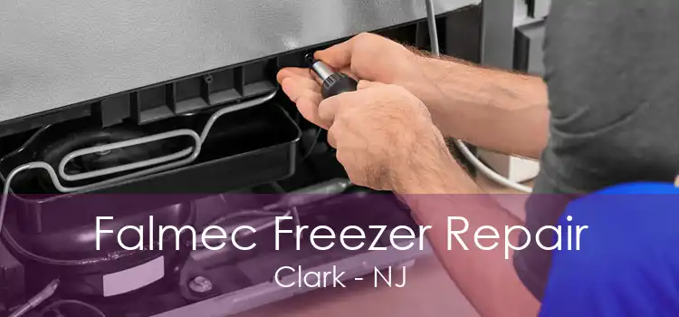Falmec Freezer Repair Clark - NJ