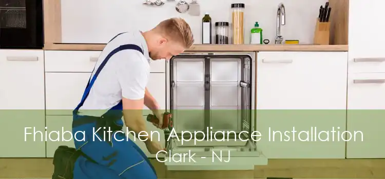 Fhiaba Kitchen Appliance Installation Clark - NJ