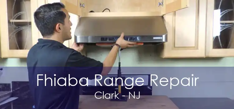 Fhiaba Range Repair Clark - NJ