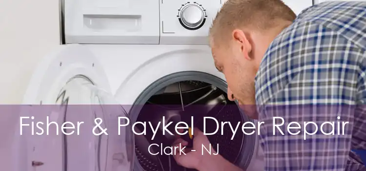 Fisher & Paykel Dryer Repair Clark - NJ