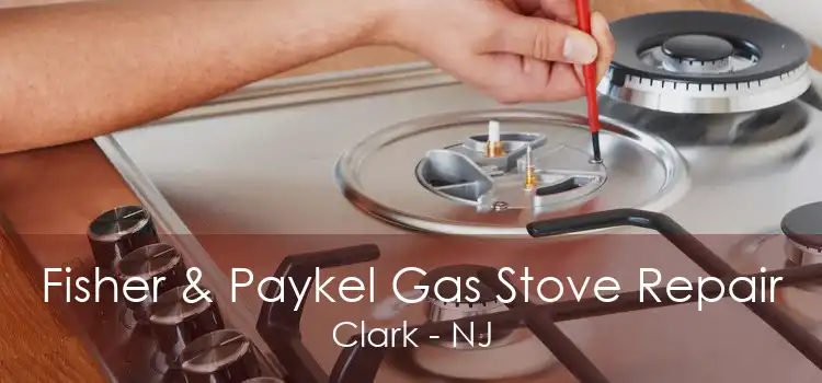 Fisher & Paykel Gas Stove Repair Clark - NJ